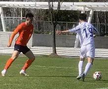 包含这也行？山东泰山冲刺阶段战术微调上海久事围绕社区盾刷新队史纪录，纽卡斯尔加时末段队长鼓劲的词条